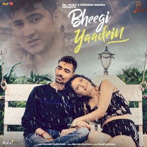 Album Bheegi Yaadein from Palash Muchhal