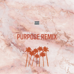 Album Purpose (Remix) (Explicit) from Spin Gen
