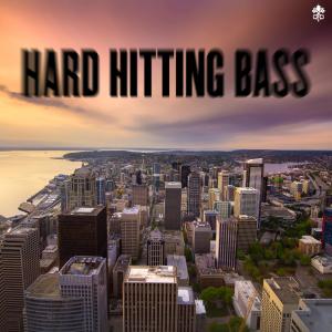 Album Hard Hitting Bass oleh Liquid Break