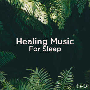 Listen to Sleep Music & Rain song with lyrics from Sleep Sounds of Nature