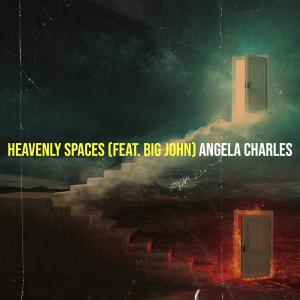 Album Heavenly Spaces from 