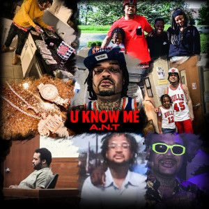 Listen to Why I Do It song with lyrics from A.N.T