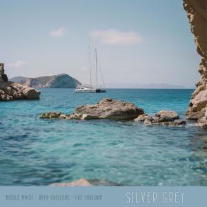 Nicolé Mhist的專輯Silver Grey