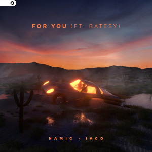 Album For You oleh Namic