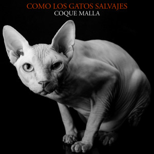 อัลบัม Como los gatos salvajes (En directo) ศิลปิน Coque Malla