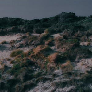 收听Vancouver Sleep Clinic的Riptide歌词歌曲