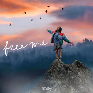 อัลบัม free me ศิลปิน Anees