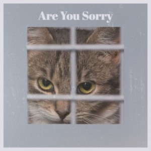 Various Artist的專輯Are You Sorry