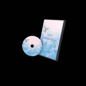 อัลบัม Back Home in Heaven ศิลปิน Homerun