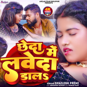 Listen to Chheda Me Labeda Dala song with lyrics from Shailesh Premi