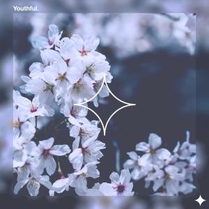 收听Flay!的Youthful歌词歌曲