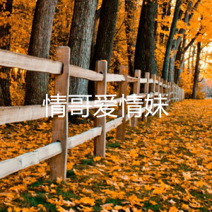 收聽陶有才的情哥愛情妹歌詞歌曲