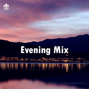 Various Artists的專輯Evening Mix