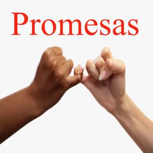 Listen to Promesas song with lyrics from PAIS
