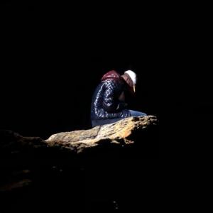 Dengarkan lagu Failde Cupid (Explicit) nyanyian Lil Vens dengan lirik