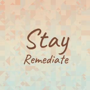 Various Artists的專輯Stay Remediate