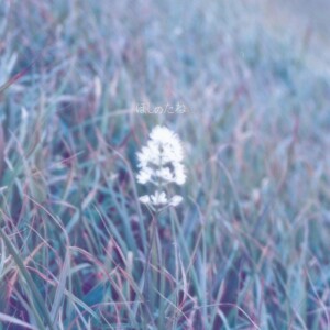Album Hoshi no tane from Cokiyu