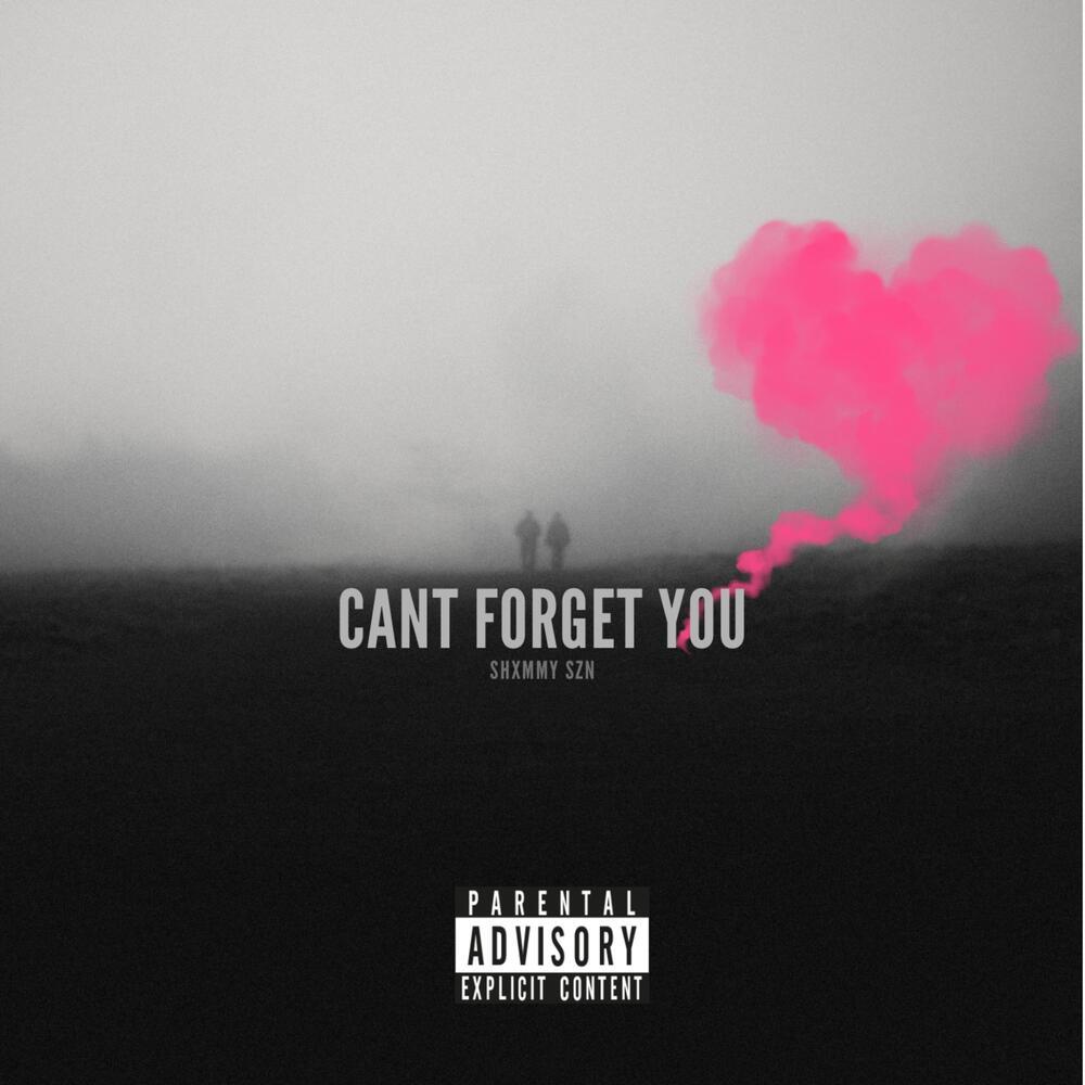 Can’t Forget You (Explicit)