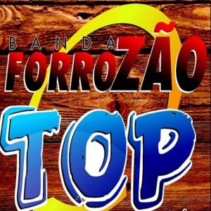 收聽Banda Forrozão Top的Ela chorou de amor歌詞歌曲