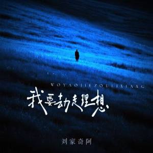 刘家奇的专辑我要劫走理想
