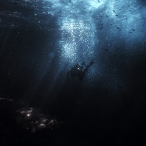 Album Immersion from monrxe