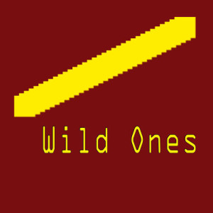 ดาวน์โหลดและฟังเพลง Wild Ones พร้อมเนื้อเพลงจาก Karaoke Charts