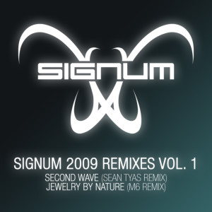 Signum 2009 Remixes Vol. 1