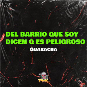 Dj Pirata的專輯Del Barrio Que Soy Dicen Que Es Peligroso (Remix)