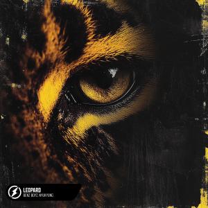 Listen to Leopard song with lyrics from Benz Boyz