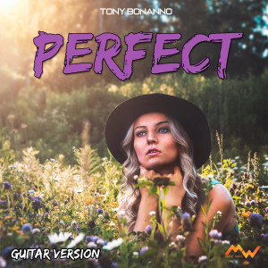 Album Perfect (Guitar Version) from Tony Bonanno