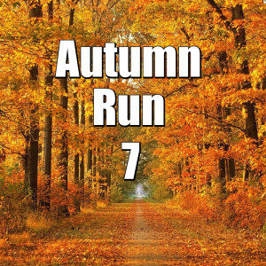 Album Autumn Run, Vol.7 from 