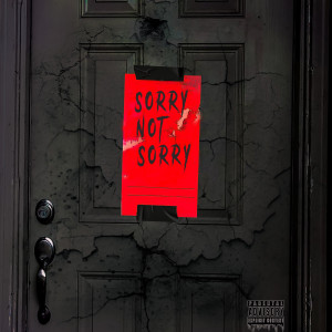 อัลบัม Sorry Not Sorry (Explicit) ศิลปิน Briawna