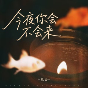 Album 今夜你会不会来 from 鱼蛋