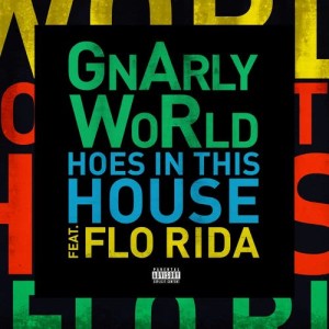 ดาวน์โหลดและฟังเพลง Hoes in This House (feat. Flo Rida) พร้อมเนื้อเพลงจาก GnArly WoRld