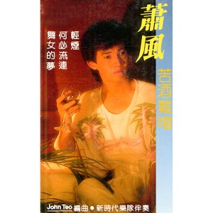 Listen to 眼中的我 song with lyrics from 箫风