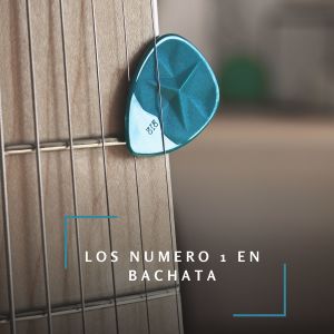 Album Los numero 1 en Bachata from 