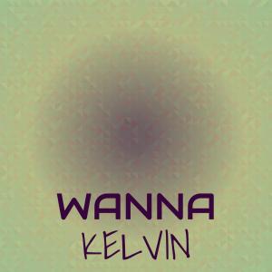 Various Artists的專輯Wanna Kelvin