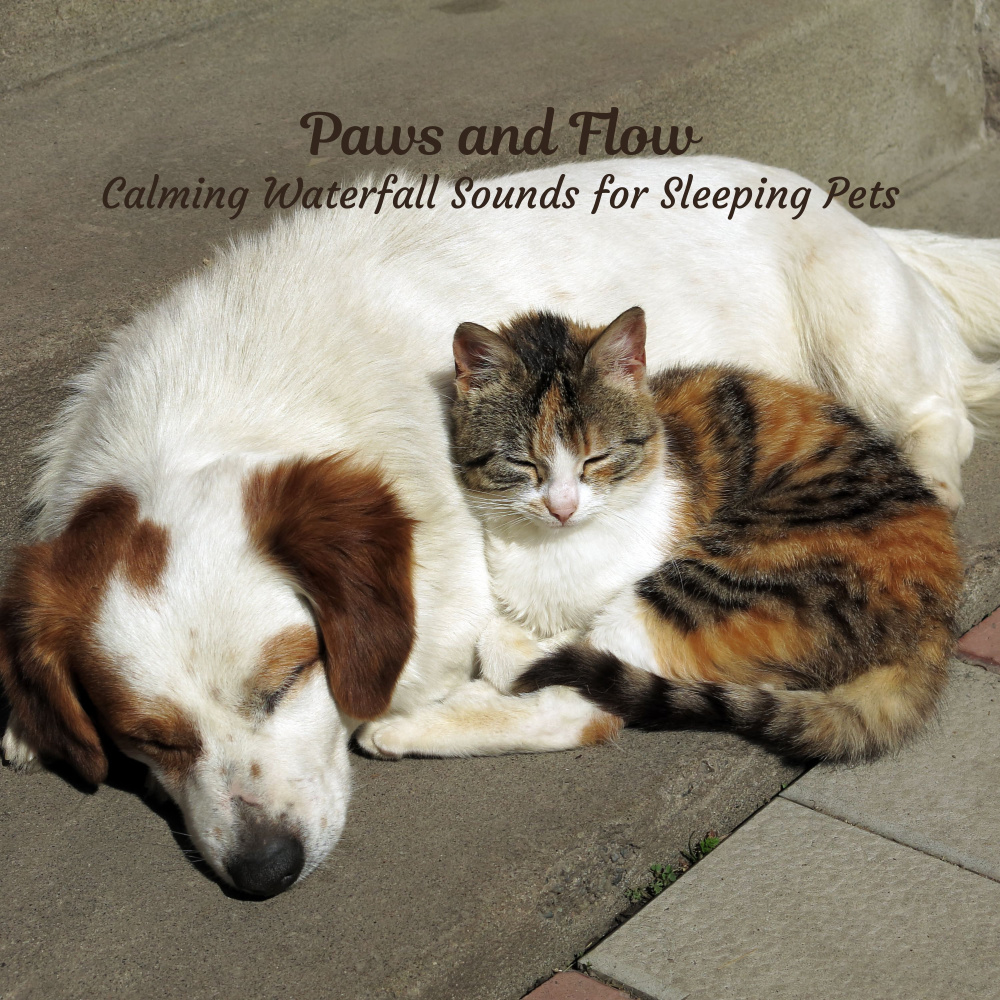 Flowing Waters for Your Pet's Dreams