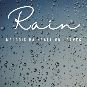 Nature's Rainfall Melodies: Blissful Harmony in Rain