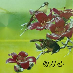 Album 明月心 oleh 邹畅