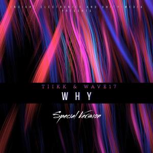 ดาวน์โหลดและฟังเพลง WHY Special Version พร้อมเนื้อเพลงจาก Tiikk