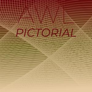 Various的专辑Awl Pictorial