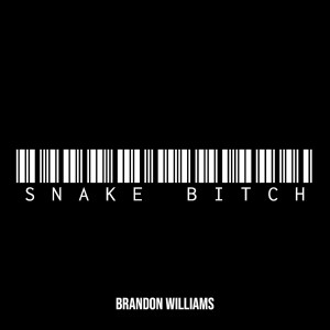 Album Snake Bitch (Explicit) from Brandon Williams