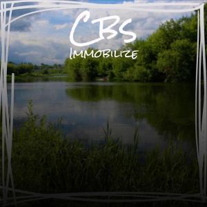 Various的专辑Cbs Immobilize