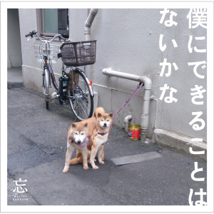 收聽忘れらんねえよ的明日晴れるといいな歌詞歌曲