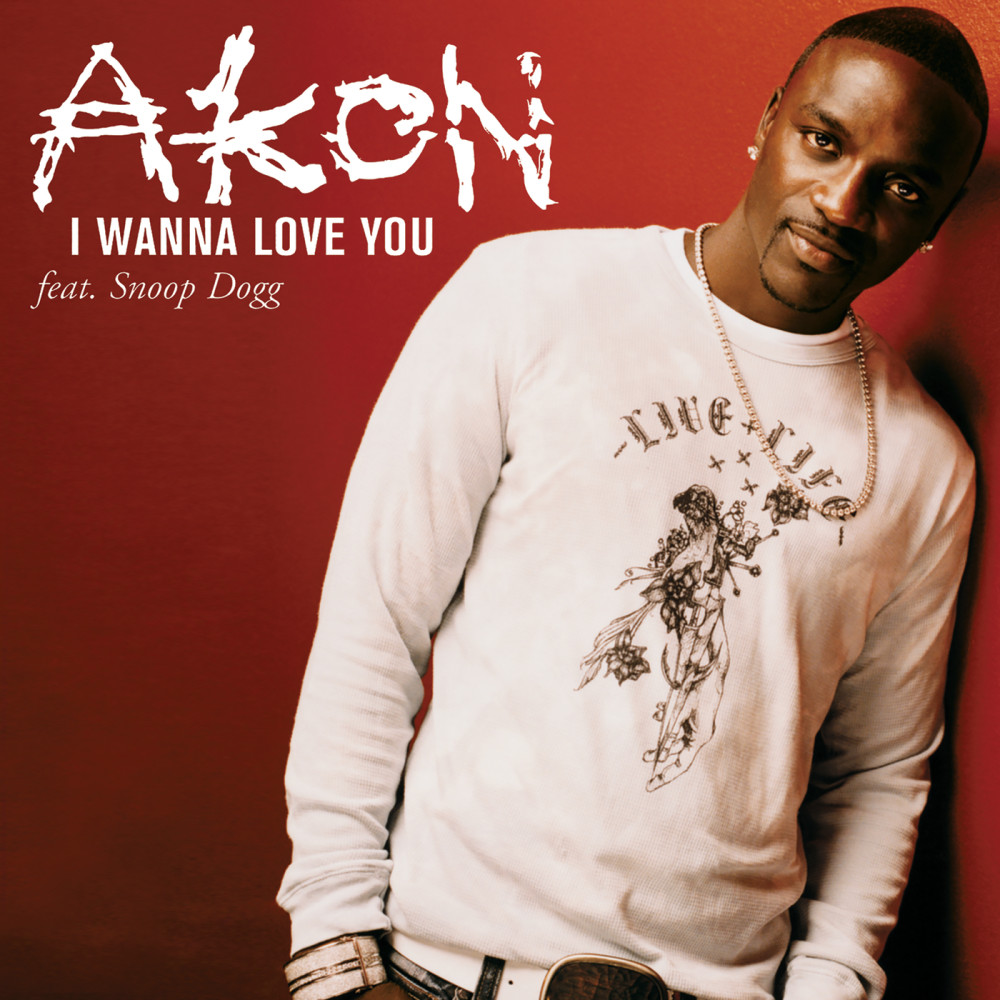 i-wanna-love-you-akon-sanook-music