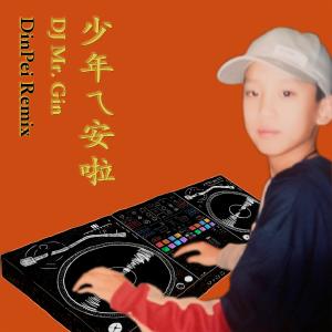 อัลบัม DJ MR. GIN - 少年ㄟ安啦 (DinPei Remix) ศิลปิน DJ Mr.Gin