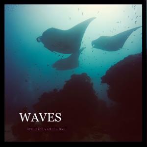 Album Waves (Explicit) from Boe