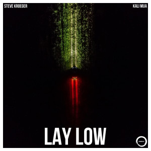 ดาวน์โหลดและฟังเพลง Lay Low พร้อมเนื้อเพลงจาก Steve Kroeger