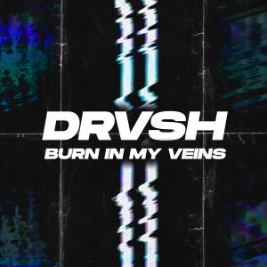 DRVSH的專輯Burn in my veins